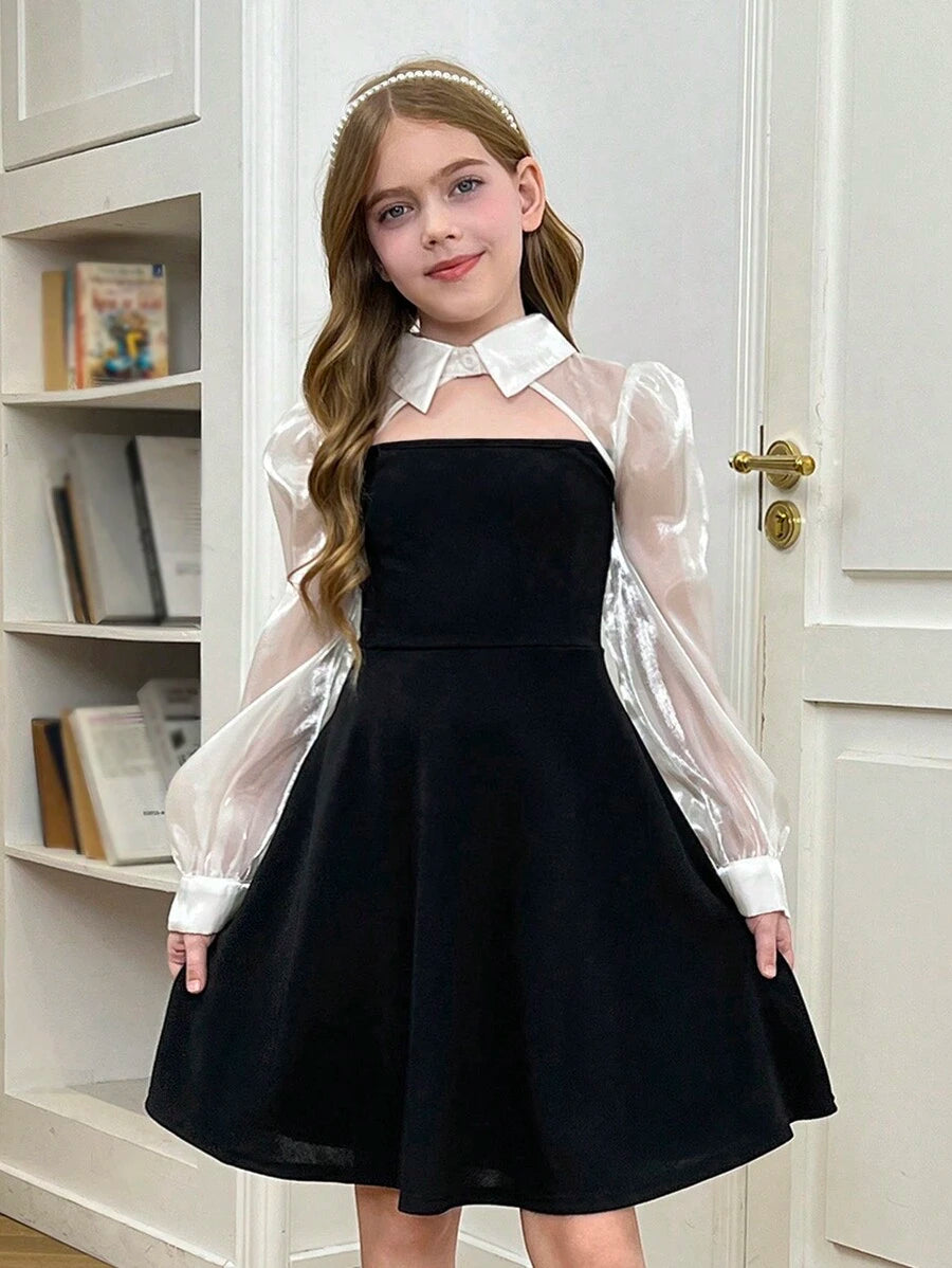 https://img.ltwebstatic.com/images3_pi/2024/11/11/81/173130281275388006699c36f218977b231d0fb8f5_thumbnail_900x.webp