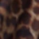 //img.ltwebstatic.com/v4/j/pi/2025/08/03/41/1754200895236d1bd32d777d620dd2a6593488d4da.jpg