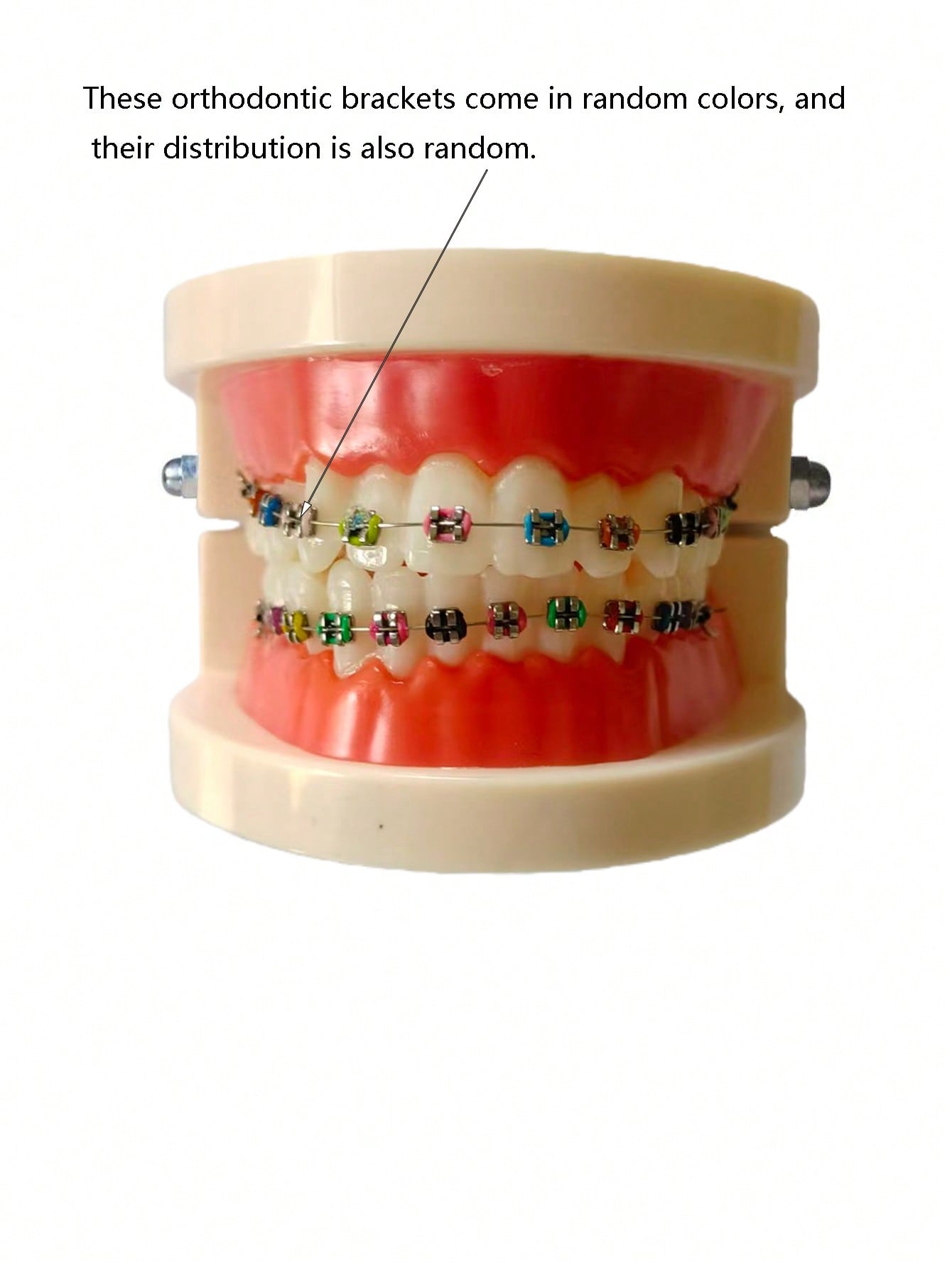 //img.ltwebstatic.com/v4/j/pi/2025/10/23/6f/176118700522a605a018aaa962d54dafb09434cffb.jpg